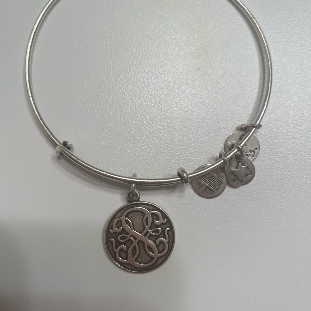 Alex and Ani Energy Adjustable Bracelet in Rafaelian Silver